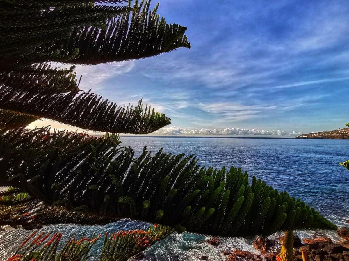 Appartement Ines Seaview *